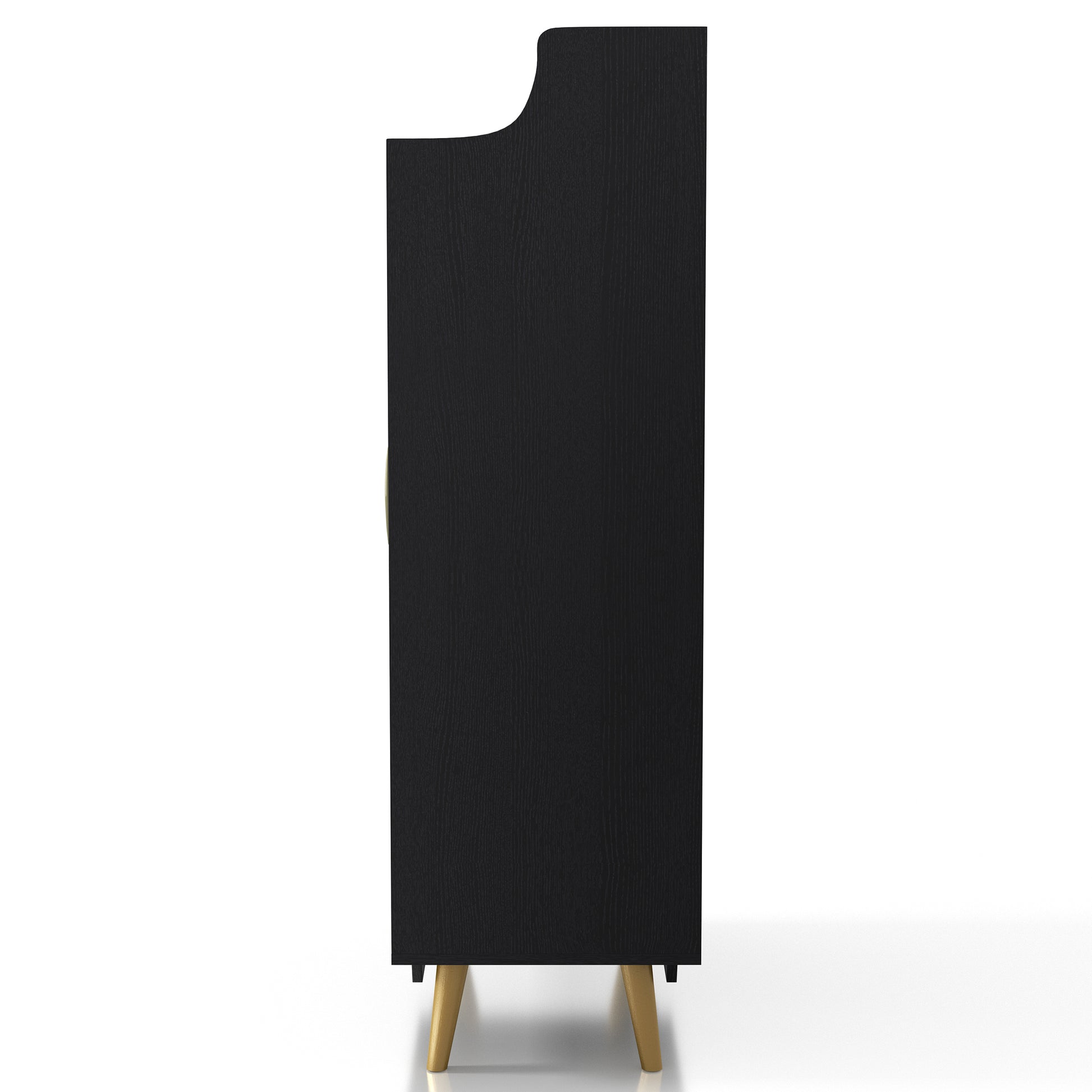 Front-facing side view of a transitional black and gold two-door 14-pair shoe cabinet on a white background